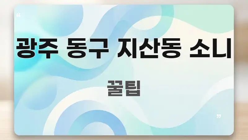 광주 동구 지산동 소니 빠르게 이해할 수 있는 텍스트 중심 디자인 표지 - 가독성을 높이는 이미지