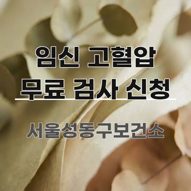 임신 고혈압 무료 검사 신청 스마트하게 정리된 모던 카드뉴스 디자인 - 설명을 돕는 이미지
