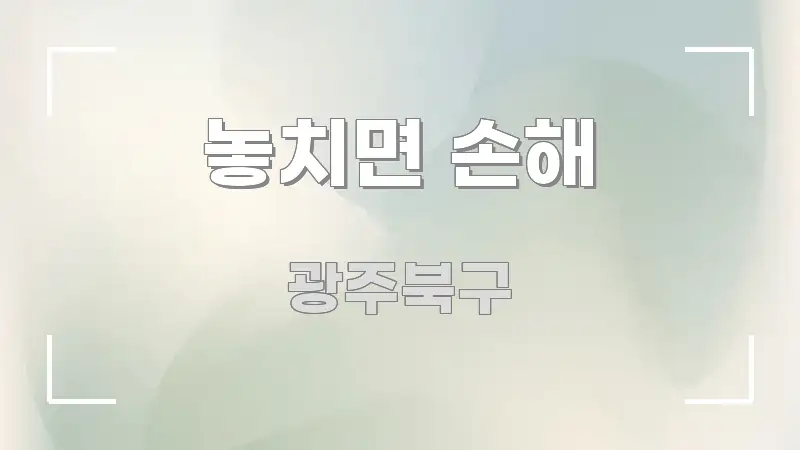 놓치면 손해 명확하게 정리된 정보 요약 포스터
