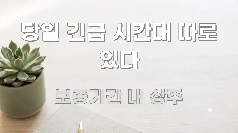 당일 긴급 시간대 따로 있다 쉽게 따라할 수 있는 텍스트 중심 디자인 표지 - 활용 예시 이미지