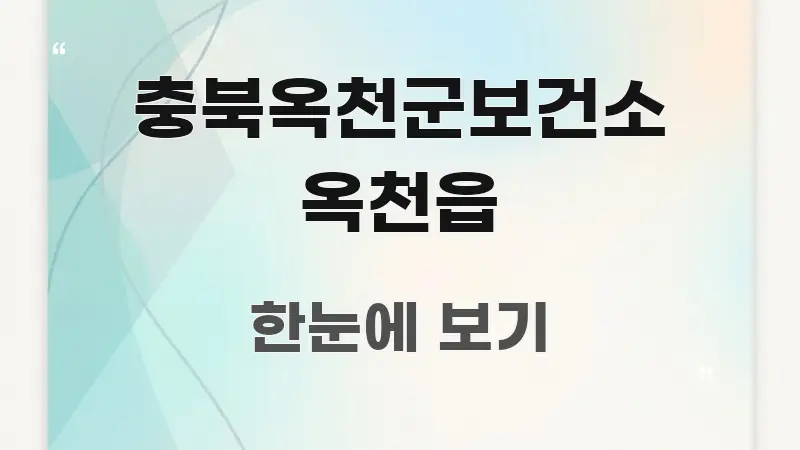충북옥천군보건소 옥천읍 간결하고 명료한 정보 요약 인포그래픽 이미지 - 가독성을 높이는 이미지