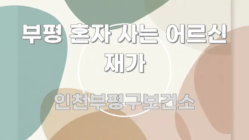 부평 혼자 사는 어르신 재가 한 번에 이해되는 가독성 높은 정보 이미지 - 내용 요약을 위한 이미지