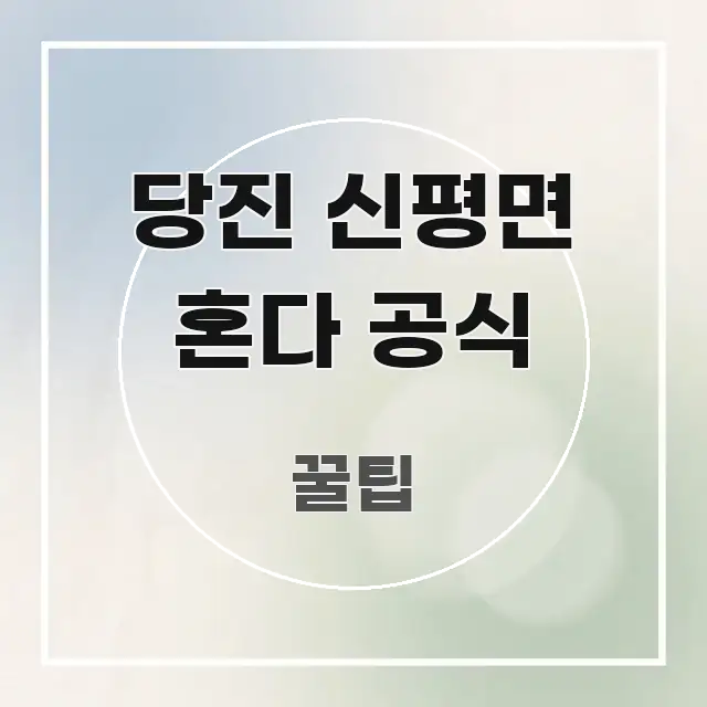 당진 신평면 혼다 공식 깔끔하게 정리된 스마트 정보 카드