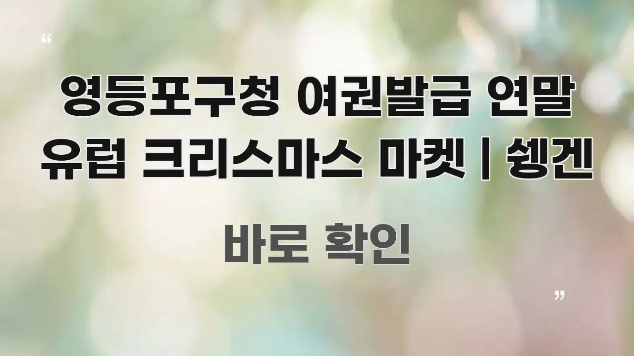 영등포구청 여권발급 연말 유럽 크리스마스 마켓 | 쉥겐 주요 포인트를 요약한 가독성 높은 정보 이미지 - 가독성을 높이는 이미지