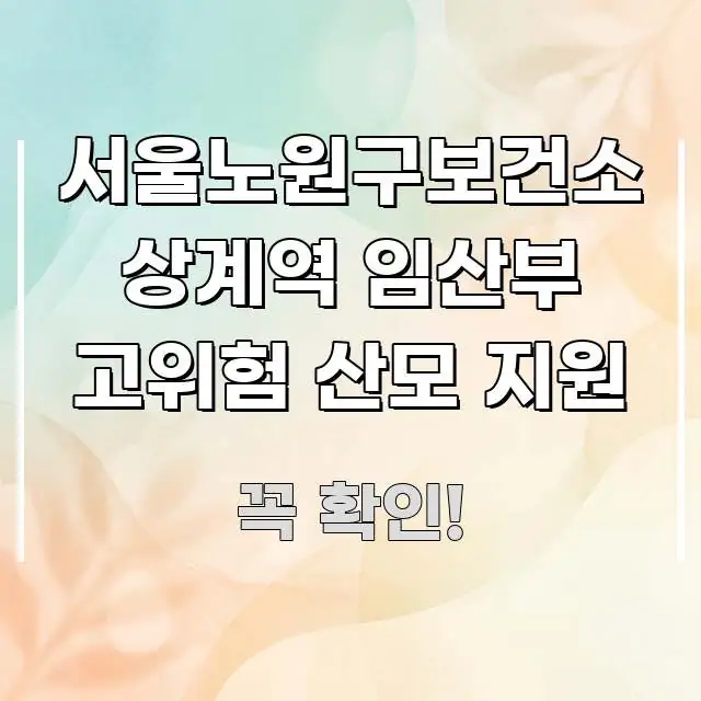 서울노원구보건소 상계역 임산부 고위험 산모 지원 핵심 키워드 중심의 텍스트 포스터 이미지 - 활용 예시 이미지