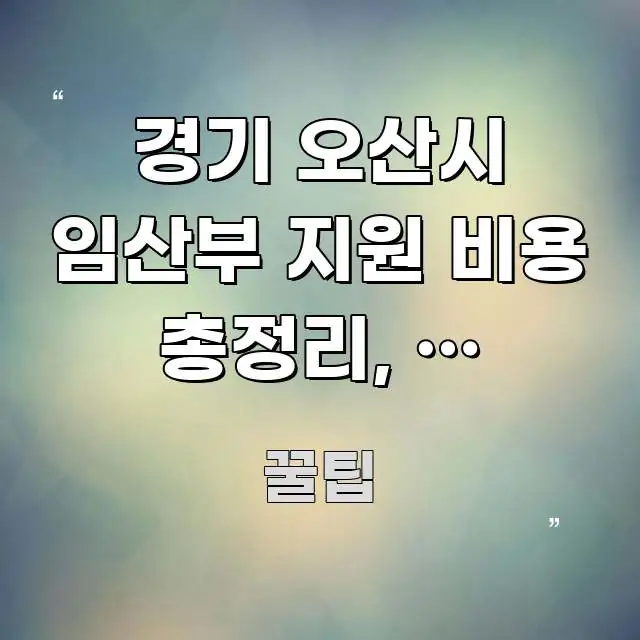 경기 오산시 임산부 지원 비용 총정리, 왜 이렇게 심플하고 명확하게 정리한 정보 요약 포스터 - 참고용 이미지