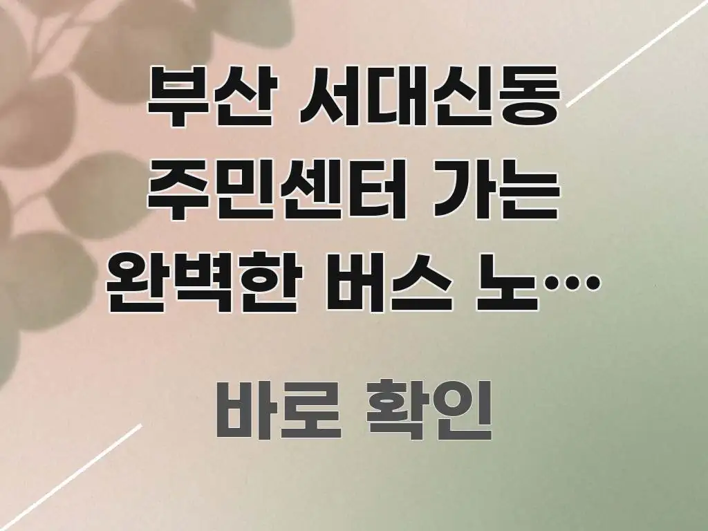 부산 서대신동 주민센터 가는 완벽한 버스 노선 가이드, 핵심 내용을 정리한 글 소개 썸네일 이미지