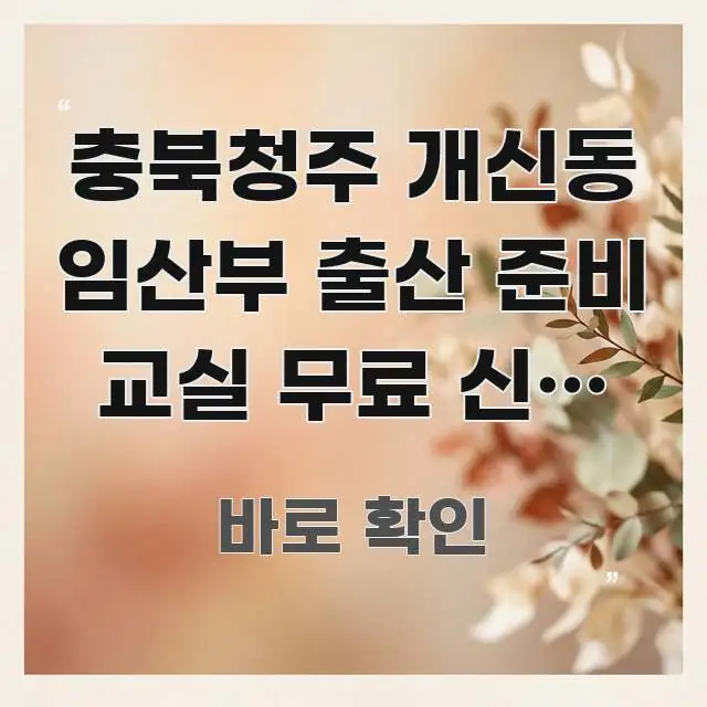 충북청주 개신동 임산부 출산 준비 교실 무료 신청 — 가독성 높게 정리한 정보 요약 인포그래픽 이미지 - 독자 이해를 위한 이미지