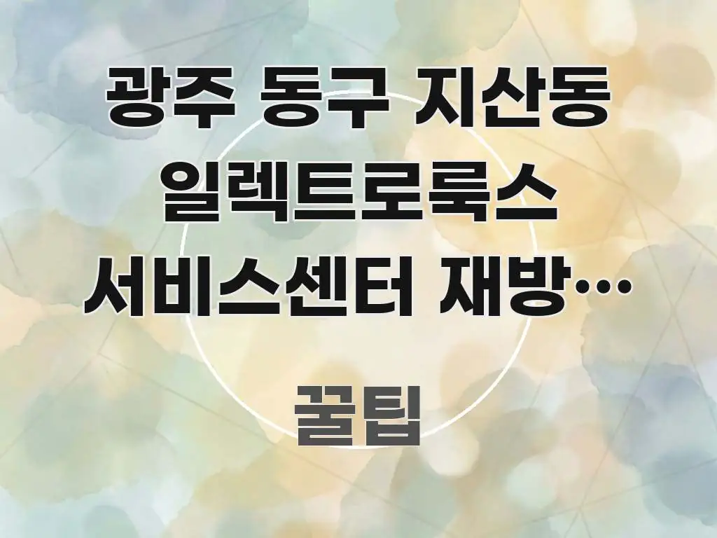 광주 동구 지산동 일렉트로룩스 서비스센터 재방문 후기 전문가가 선별한 가독성 높은 정보 이미지 - 활용 예시 이미지