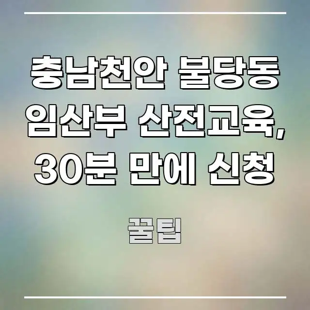 충남천안 불당동 임산부 산전교육, 30분 만에 신청 이해하기 쉬운 타이포그래피 블로그 표지