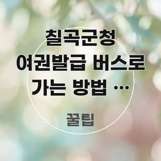 칠곡군청 여권발급 버스로 가는 방법 | 정류장 이름과 중요 내용만 뽑은 타이포그래피 블로그 표지 - 글 흐름을 돕는 시각 자료