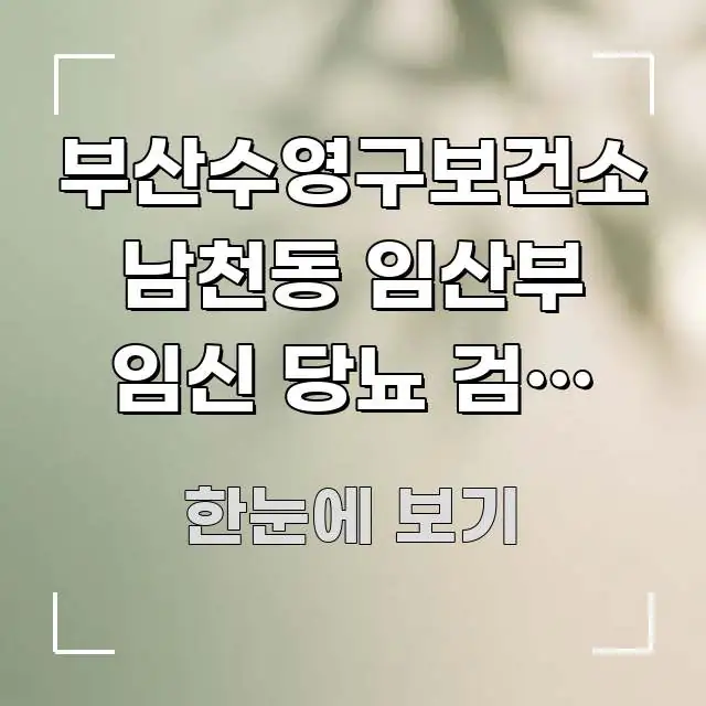 부산수영구보건소 남천동 임산부 임신 당뇨 검사 비용 꼭 필요한 정보만 담은 블로그 헤더 이미지 - 본문 내용과 연관된 이미지