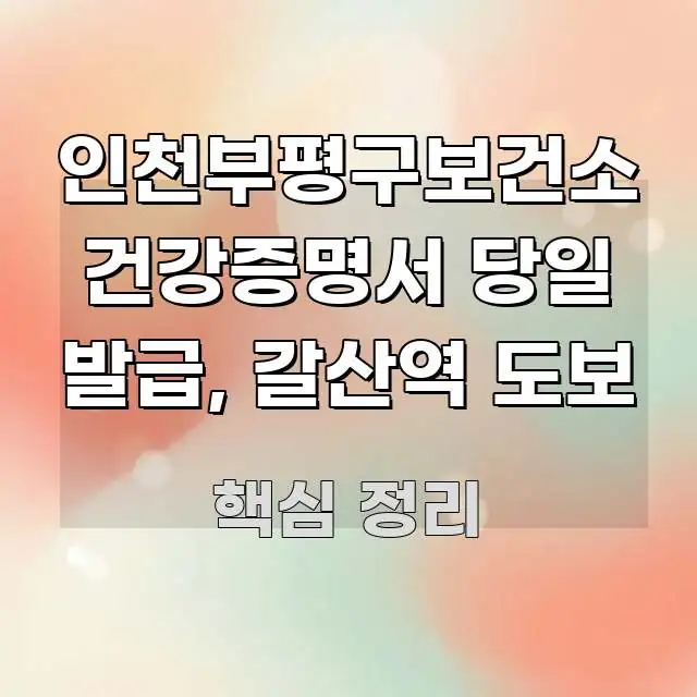 인천부평구보건소 건강증명서 당일 발급, 갈산역 도보 쉽게 따라할 수 있는 텍스트 포스터 이미지