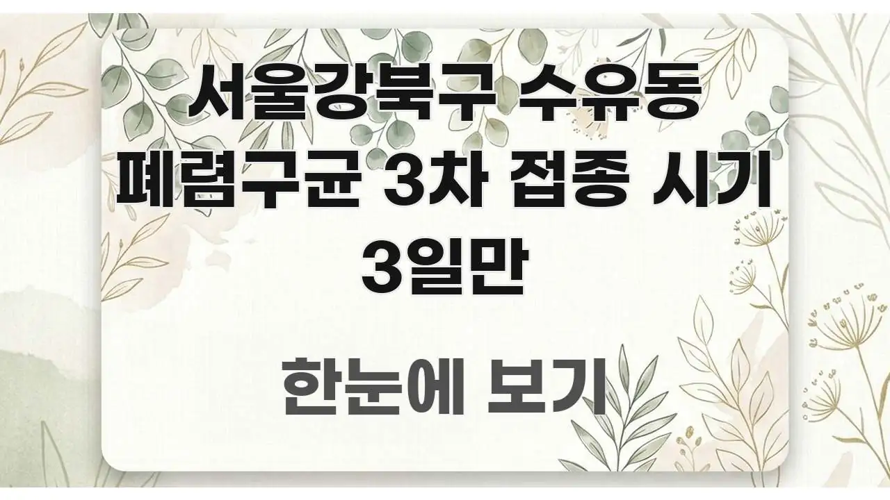 서울강북구 수유동 폐렴구균 3차 접종 시기 3일만 가독성 높게 정리한 정보 정리 카드 이미지 - 설명을 돕는 이미지