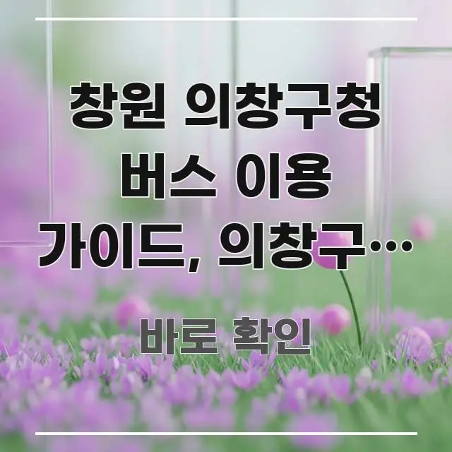 창원 의창구청 버스 이용 가이드, 의창구청 교통편 불편 꼭 필요한 정보만 담은 블로그 포스트 커버 이미지 - 설명을 돕는 이미지