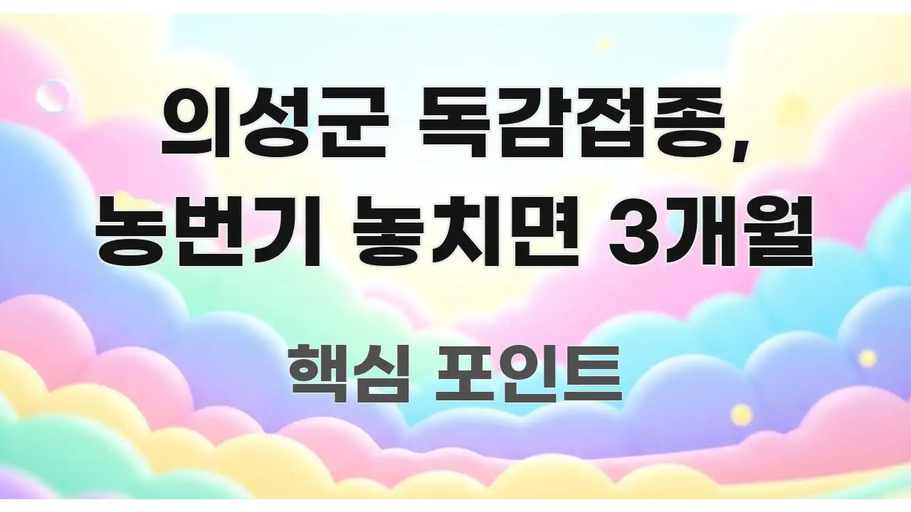 의성군 독감접종, 농번기 놓치면 3개월 이해하기 쉬운 정보 정리 카드 이미지