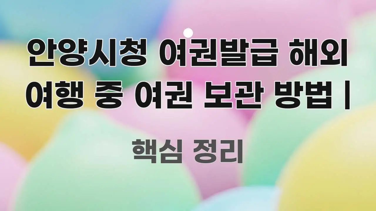 안양시청 여권발급 해외 여행 중 여권 보관 방법 | 실생활에 도움되는 블로그 섹션 구분 이미지