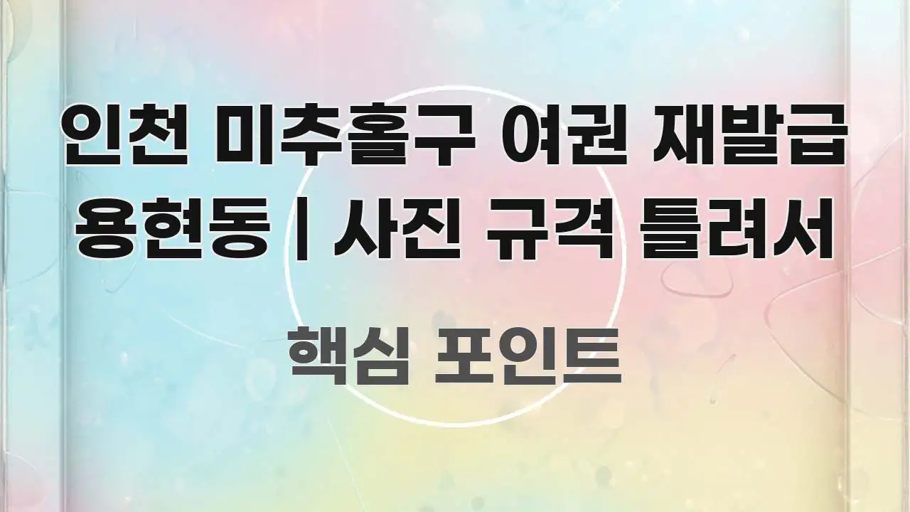 인천 미추홀구 여권 재발급 용현동 | 사진 규격 틀려서 꼭 알아야 할 정보를 담은 정보 정리 카드 이미지 - 가독성을 높이는 이미지