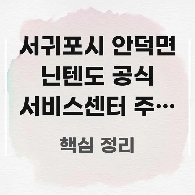 서귀포시 안덕면 닌텐도 공식 서비스센터 주말 오후 2시 한 번에 이해되는 정보 전달형 표지 이미지