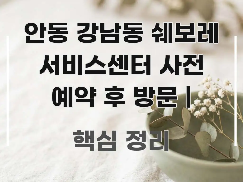 안동 강남동 쉐보레 서비스센터 사전 예약 후 방문 | 바로 활용 가능한 텍스트형 카드뉴스 표지 이미지 - 참고용 이미지
