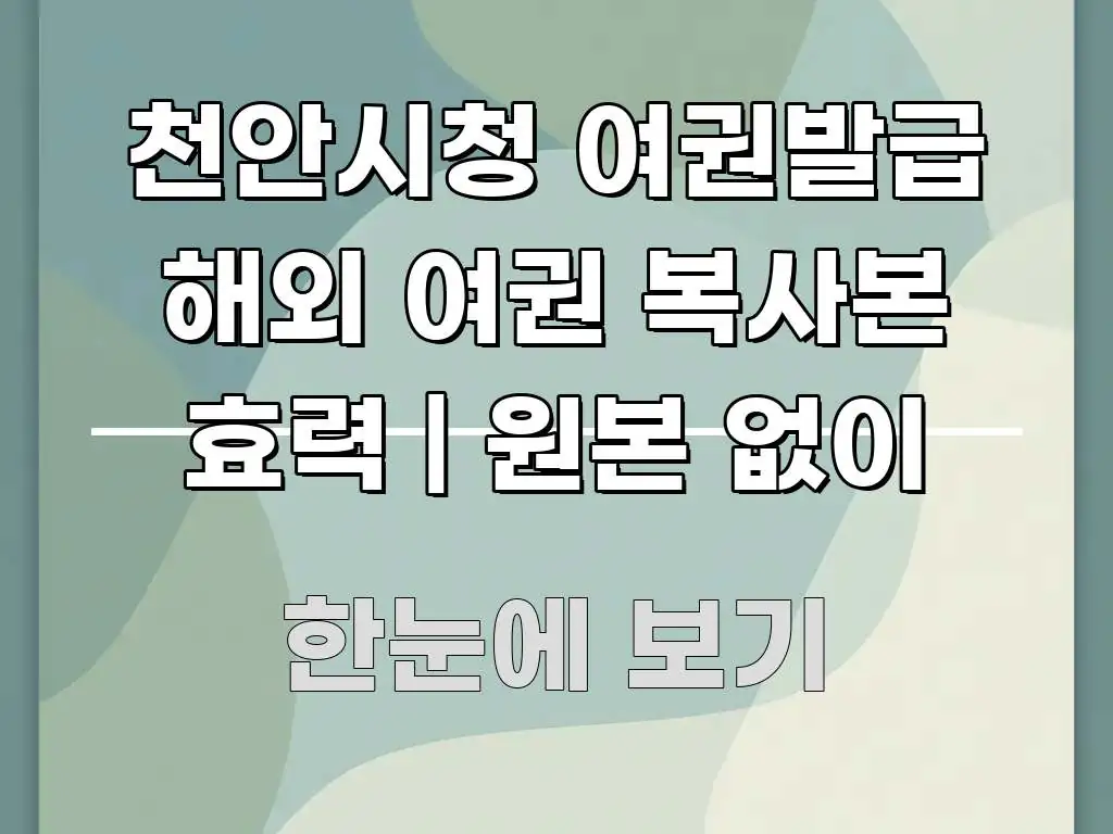 천안시청 여권발급 해외 여권 복사본 효력 | 원본 없이 빠르게 이해할 수 있는 카드뉴스 스타일 이미지 - 글 흐름을 돕는 시각 자료