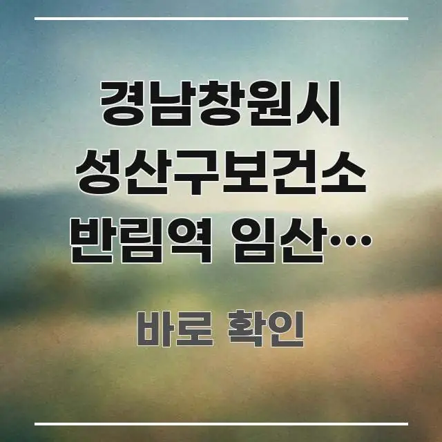 경남창원시 성산구보건소 반림역 임산부 등록 완벽 가이드 핵심 내용을 정리한 블로그 섹션 구분 이미지 - 글 흐름을 돕는 시각 자료