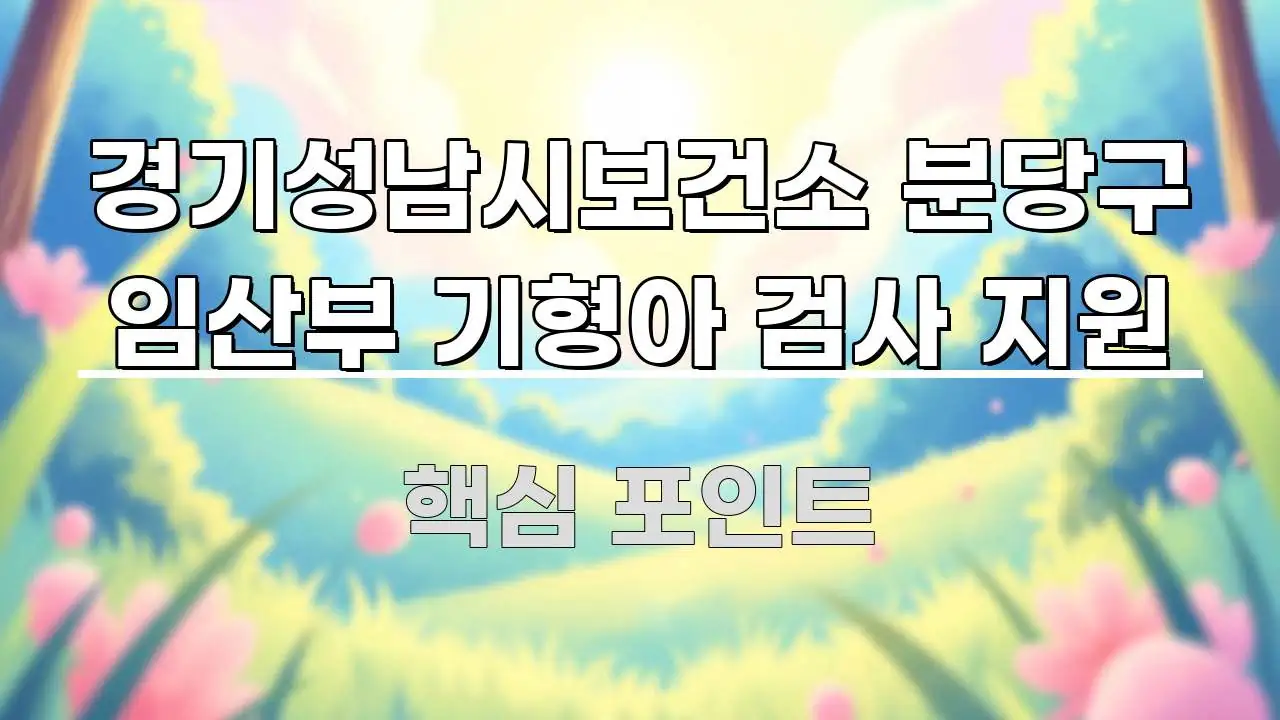 경기성남시보건소 분당구 임산부 기형아 검사 지원 요점만 뽑아낸 깔끔한 인포그래픽 표지 - 본문 내용과 연관된 이미지