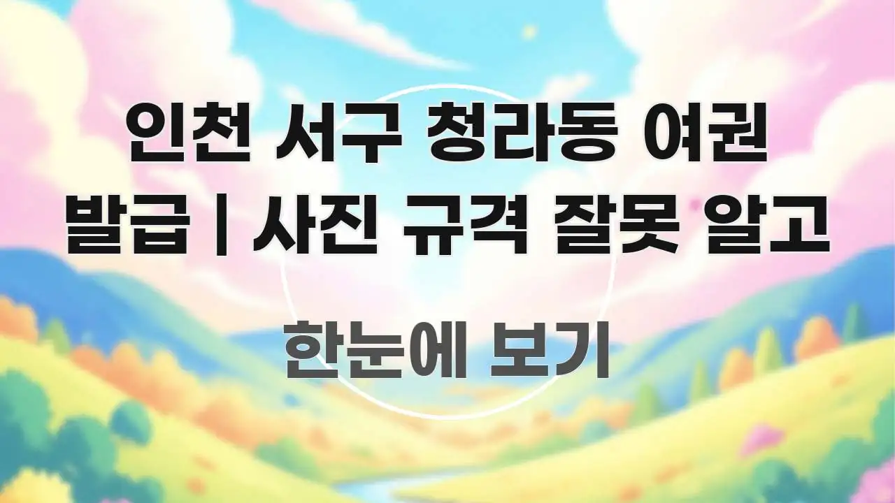 인천 서구 청라동 여권 발급 | 사진 규격 잘못 알고 핵심 개념을 담은 가독성 높은 정보 이미지 - 본문 내용과 연관된 이미지