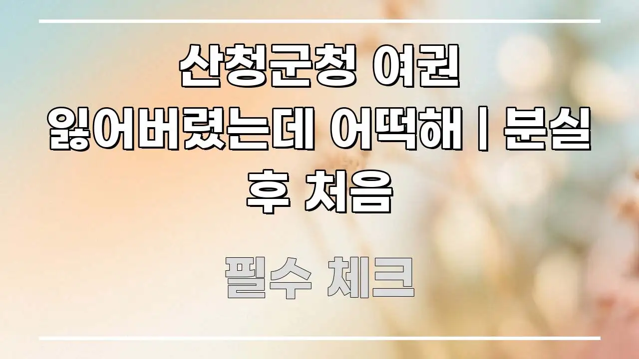 산청군청 여권 잃어버렸는데 어떡해 | 분실 후 처음 명확하게 정리된 정보 요약 인포그래픽 이미지