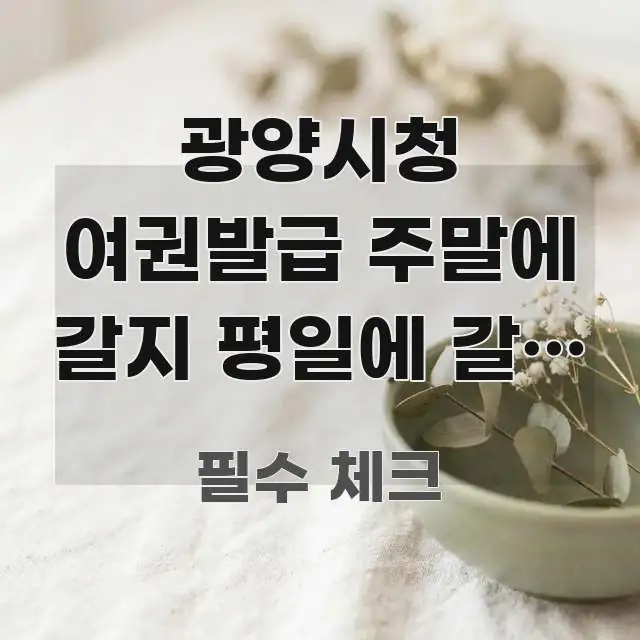 광양시청 여권발급 주말에 갈지 평일에 갈지 | 실제 요점만 뽑아낸 블로그용 카드뉴스 썸네일 - 본문 내용과 연관된 이미지