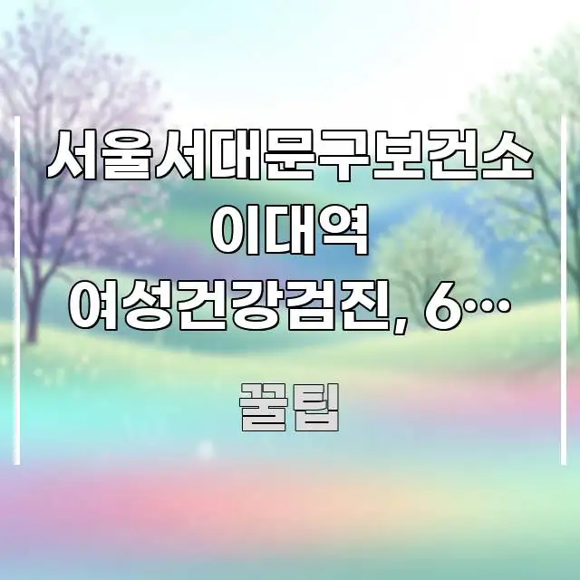 서울서대문구보건소 이대역 여성건강검진, 6개 항목 실용적으로 정리한 정보 요약 포스터