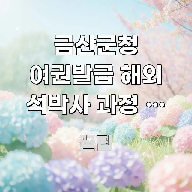 금산군청 여권발급 해외 석박사 과정 | 장기 유학 비자 한눈에 보기 좋게 요약한 핵심 요약 디자인 카드 - 내용 요약을 위한 이미지