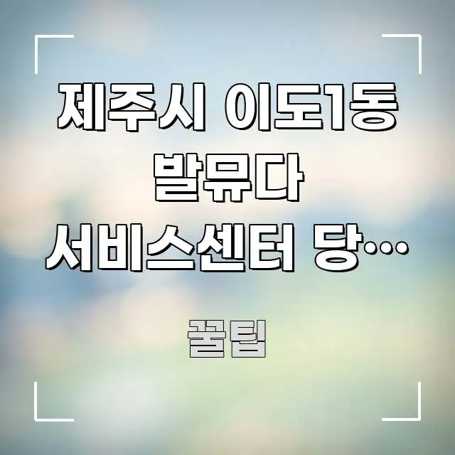 제주시 이도1동 발뮤다 서비스센터 당일 예약 없이 방문 가독성 높게 정리한 핵심 정보 비주얼