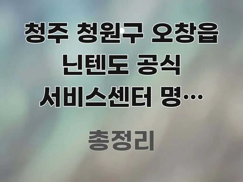 청주 청원구 오창읍 닌텐도 공식 서비스센터 명절 연휴 바로 활용 가능한 블로그 대표 이미지 - 내용 요약을 위한 이미지