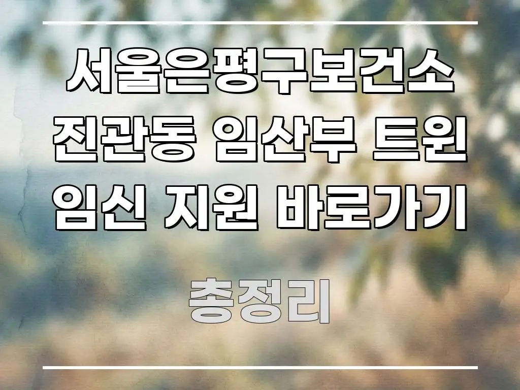 서울은평구보건소 진관동 임산부 트윈 임신 지원 바로가기 시선을 사로잡는 정보 정리 카드 이미지 - 내용 요약을 위한 이미지