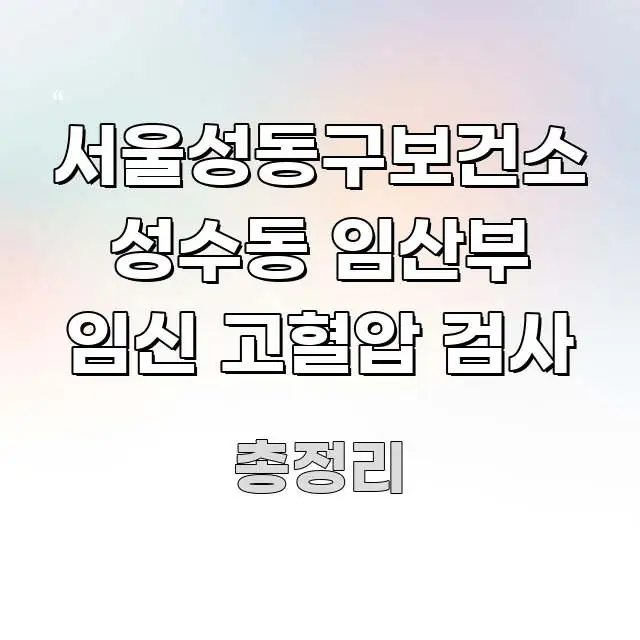 서울성동구보건소 성수동 임산부 임신 고혈압 검사 핵심 키워드 중심의 블로그 헤더 이미지
