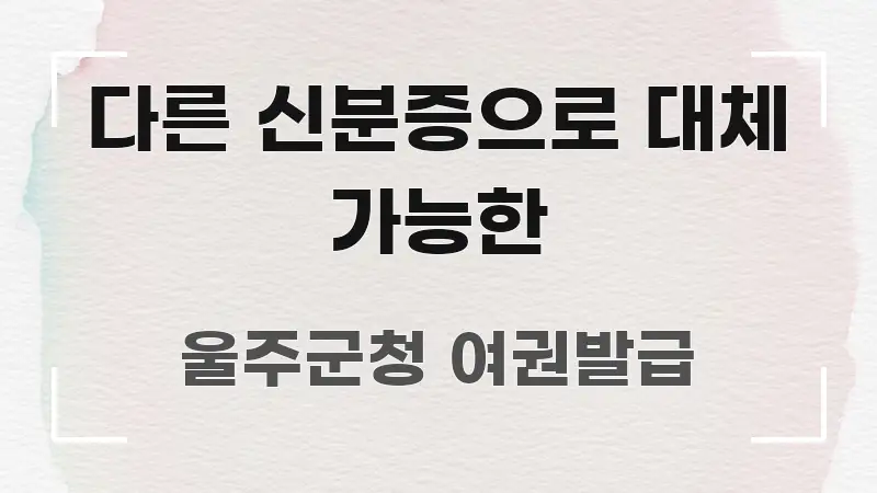 다른 신분증으로 대체 가능한 흥미롭게 구성한 가독성 높은 정보 이미지