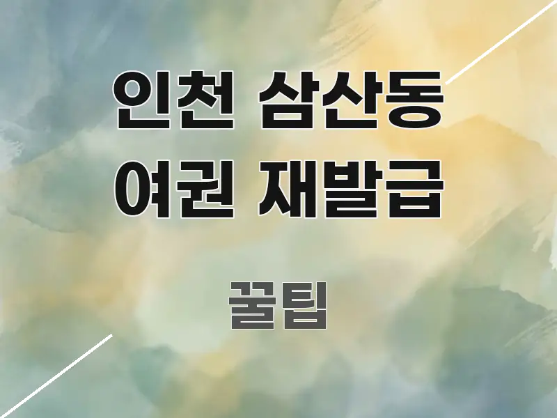 인천 삼산동 여권 재발급 주요 흐름을 설명한 읽기 좋은 정보 카드 - 설명을 돕는 이미지