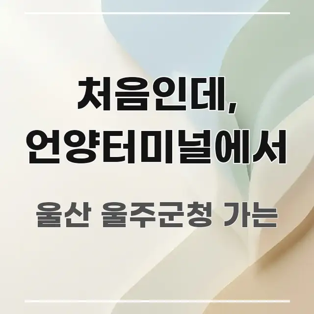 처음인데, 언양터미널에서 실용적으로 정리한 정보 요약 인포그래픽 이미지 - 글 흐름을 돕는 시각 자료