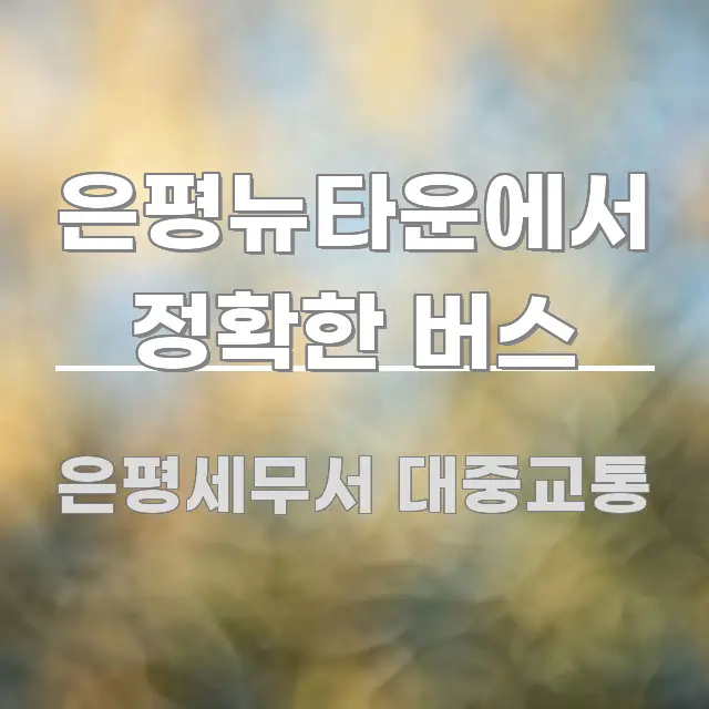 은평뉴타운에서 정확한 버스 전문가가 선별한 읽기 좋은 정보 카드 - 가독성을 높이는 이미지