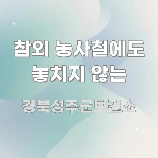 참외 농사철에도 놓치지 않는 핵심만 담은 블로그용 카드뉴스 썸네일