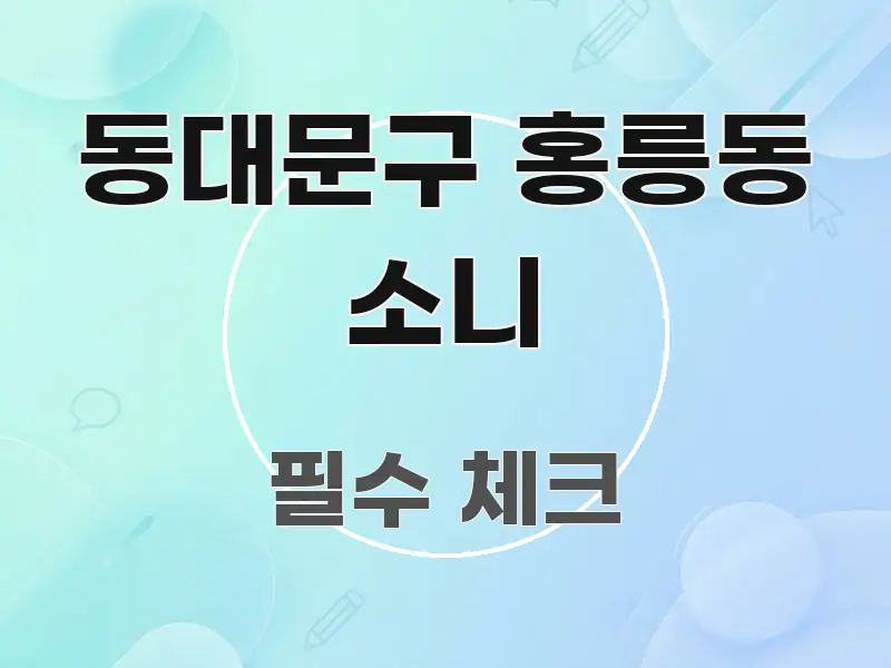 동대문구 홍릉동 소니 구조적으로 정리된 타이포그래피 블로그 표지 - 내용 요약을 위한 이미지