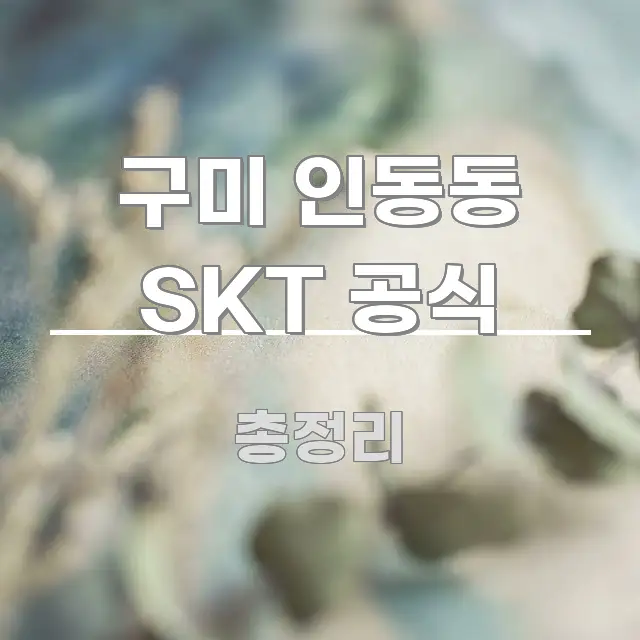 구미 인동동 SKT 공식 효율적으로 구성된 핵심 요약 디자인 카드