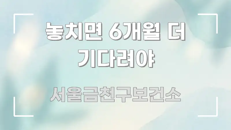 놓치면 6개월 더 기다려야 검증된 정보로 구성된 텍스트 기반 블로그 이미지 - 글 흐름을 돕는 시각 자료