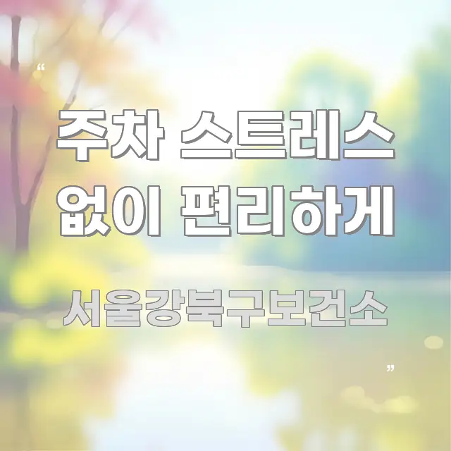 주차 스트레스 없이 편리하게 요점만 뽑아낸 깔끔한 인포그래픽 표지 - 내용 요약을 위한 이미지