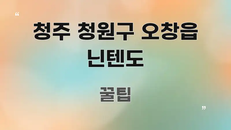 청주 청원구 오창읍 닌텐도 명확하게 정리된 블로그 대표 이미지 - 독자 이해를 위한 이미지