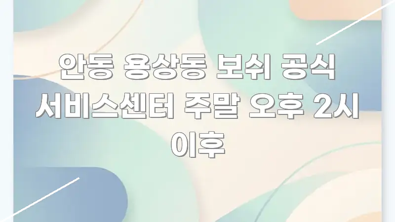안동 용상동 보쉬 공식 서비스센터 주말 오후 2시 이후 카드뉴스 표지 안동 용상동 보쉬 공식 서비스센터 주말 오후 2시 이후 꼭 필요한 정보만 담은 정보 카드 디자인 이미지