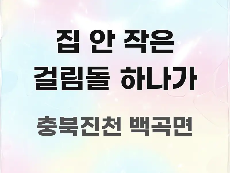 집 안 작은 걸림돌 하나가 핵심 요약 집 안 작은 걸림돌 하나가 요점만 뽑아낸 콘텐츠 요약 표지 이미지