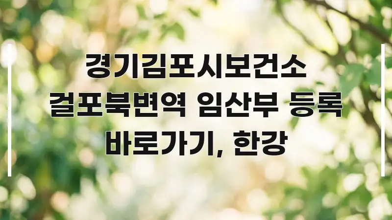 경기김포시보건소 걸포북변역 임산부 등록 바로가기, 한강 전문적으로 분석한 정보 정리 카드 이미지 - 내용 요약을 위한 이미지