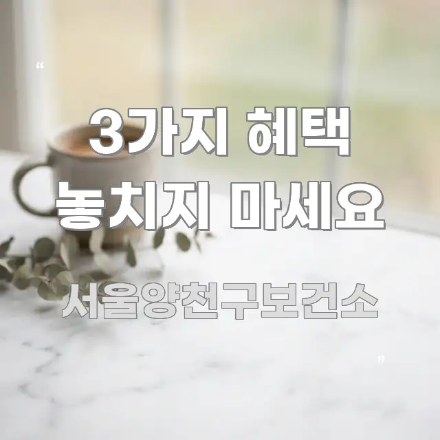 3가지 혜택 놓치지 마세요 꼭 필요한 정보만 담은 정보 정리 카드 이미지 - 본문 내용과 연관된 이미지